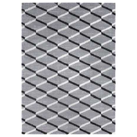 Modern vloerkleed grijs 3305