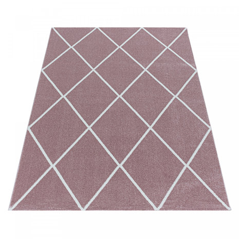 Modern vloerkleed Riant rose 4601