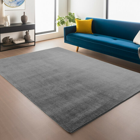 Modern Vloerkleed Warschau Grijs 1400